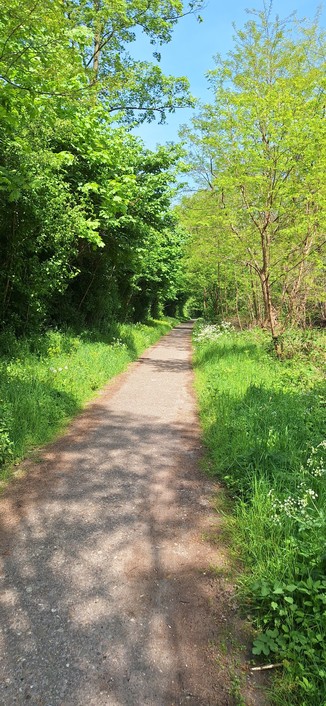 Der Weg führt weiter über einen asphaltierten Weg mitten durchs Grüne.