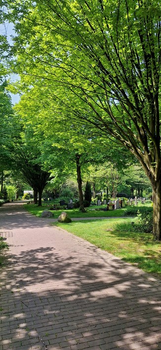 Der Weg über den Friedhof, unter grünen Bäumen hindurch.
