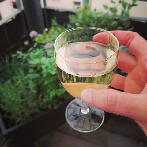 Foto. Ein kleines Weinglas mit Weißwein in meine Hand vor meinem Kräuterhochbeet auf dem Balkon. 