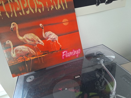 Auf einem laufenden Plattenspieler steht das Cover der LP Flamingo von Turbostaat. Darauf sind vor rotem, nach Dämmerung aussehenden Hintergrund drei Flamingos zu sehen. Unten rechts steht in pinker Leuchtschrift 
